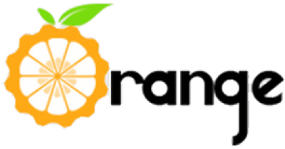 Orange Pi Logo